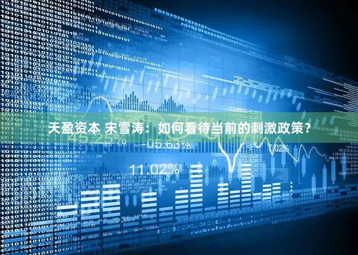 天盈资本 宋雪涛：如何看待当前的刺激政策？