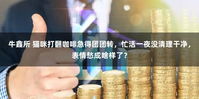牛鑫所 猫咪打翻咖啡急得团团转，忙活一夜没清理干净，表情愁成啥样了？