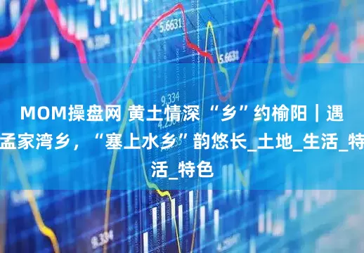 MOM操盘网 黄土情深 “乡”约榆阳｜遇见孟家湾乡，“塞上水乡”韵悠长_土地_生活_特色