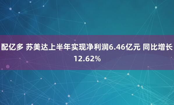 配亿多 苏美达上半年实现净利润6.46亿元 同比增长12.62%