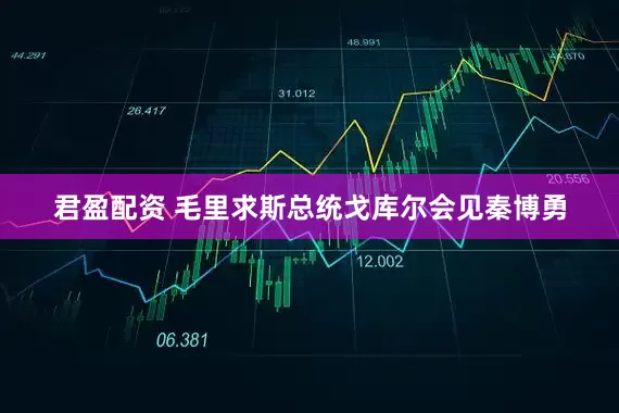 君盈配资 毛里求斯总统戈库尔会见秦博勇