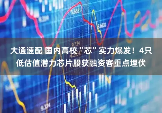 大通速配 国内高校“芯”实力爆发！4只低估值潜力芯片股获融资客重点埋伏